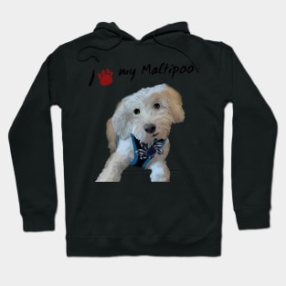 I love my maltipoo Hoodie